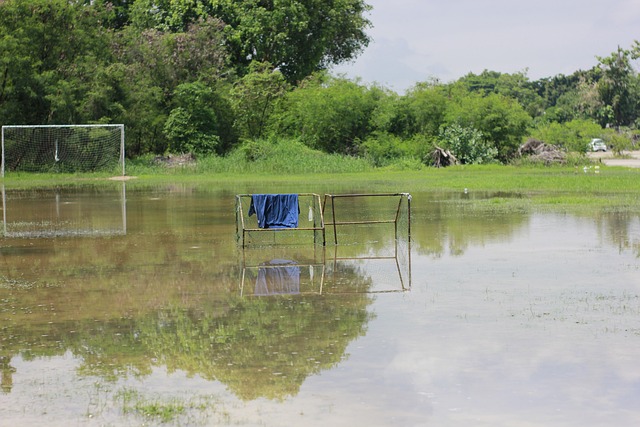 康稳定的恋 康稳定的恋