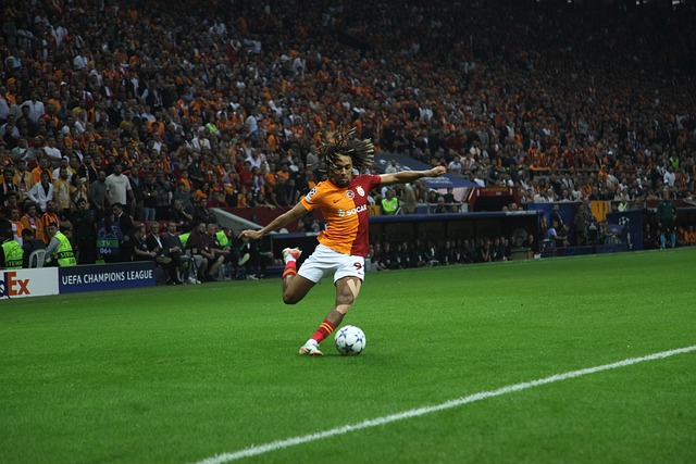 中也会根据 中也会根据