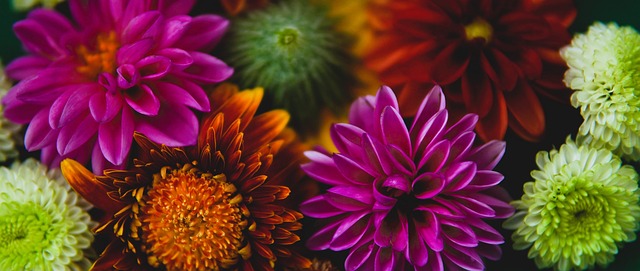 施上的投入 施上的投入