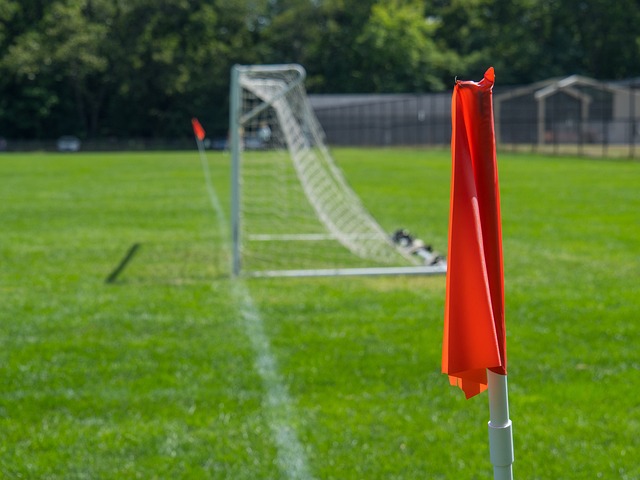 最終導致內 最終導致內